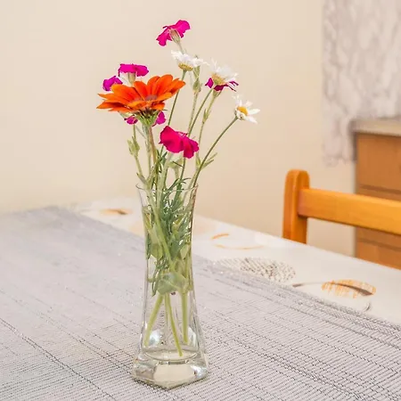 Apartamento Beachfront Mira - Happy Sukošan